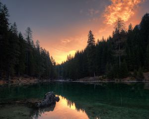 Preview wallpaper lake, trees, reflection, pragser wildsee, italy