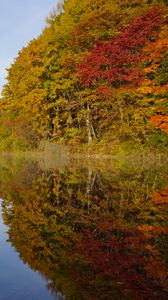 Preview wallpaper lake, trees, reflection, autumn