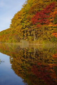 Preview wallpaper lake, trees, reflection, autumn