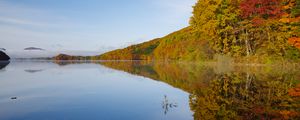Preview wallpaper lake, trees, reflection, autumn