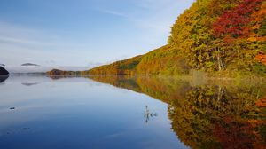 Preview wallpaper lake, trees, reflection, autumn