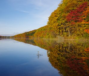 Preview wallpaper lake, trees, reflection, autumn