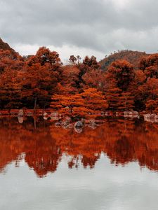 Preview wallpaper lake, trees, reflection, autumn, nature