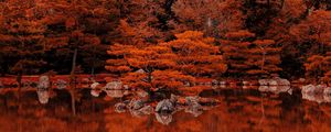 Preview wallpaper lake, trees, reflection, autumn, nature
