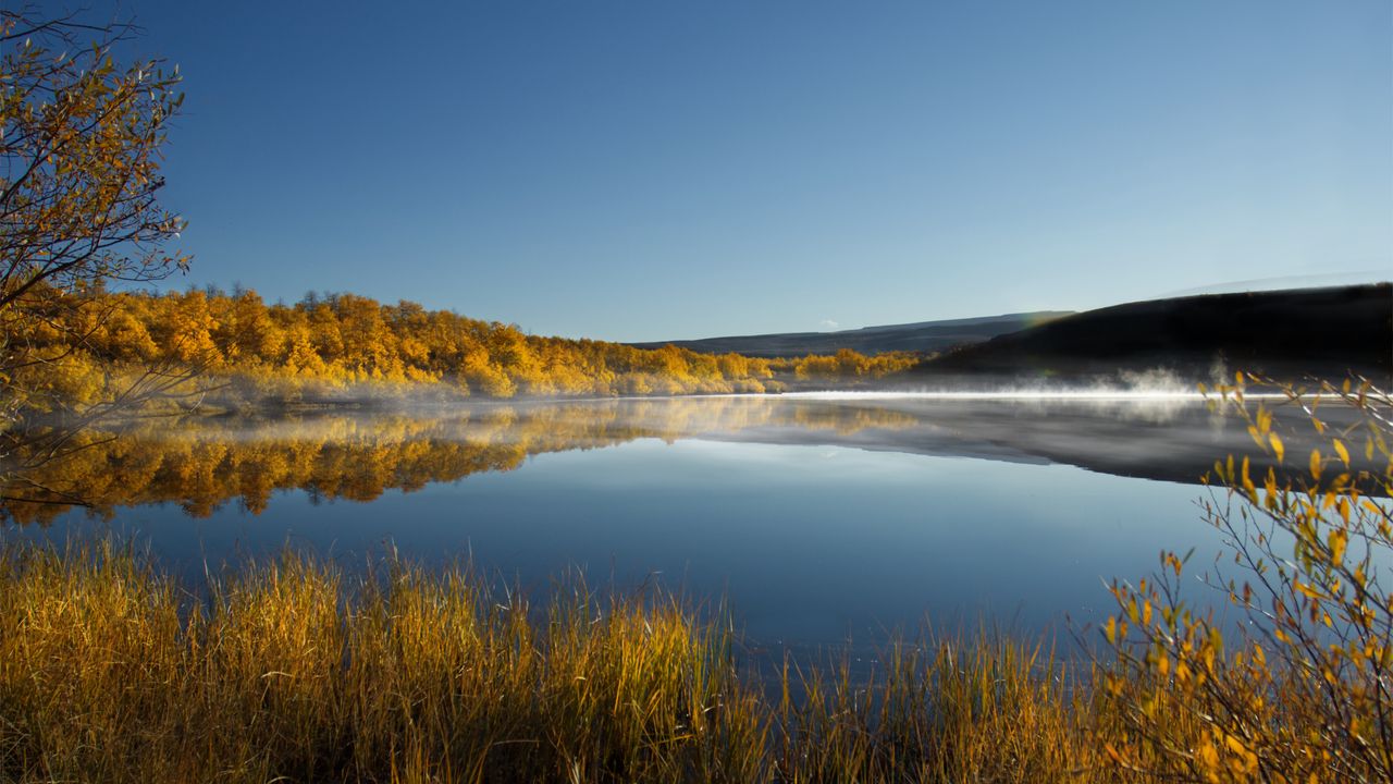 Wallpaper lake, trees, reflection, autumn, landscape