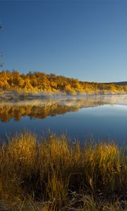 Preview wallpaper lake, trees, reflection, autumn, landscape
