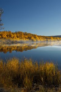 Preview wallpaper lake, trees, reflection, autumn, landscape