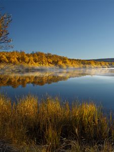 Preview wallpaper lake, trees, reflection, autumn, landscape
