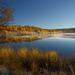 Preview wallpaper lake, trees, reflection, autumn, landscape