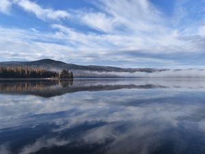 Preview wallpaper lake, trees, reflection, nature, landscape