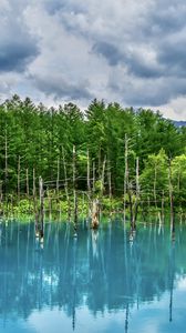 Preview wallpaper lake, trees, reflection