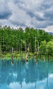 Preview wallpaper lake, trees, reflection
