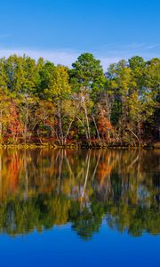 Preview wallpaper lake, trees, reflection, sky, landscape