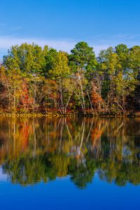 Preview wallpaper lake, trees, reflection, sky, landscape