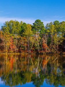 Preview wallpaper lake, trees, reflection, sky, landscape