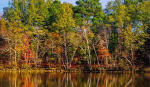 Preview wallpaper lake, trees, reflection, sky, landscape