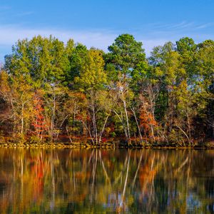 Preview wallpaper lake, trees, reflection, sky, landscape