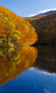 Preview wallpaper lake, trees, reflections, autumn, landscape
