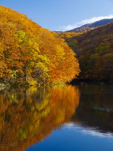 Preview wallpaper lake, trees, reflections, autumn, landscape
