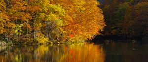 Preview wallpaper lake, trees, reflections, autumn, landscape