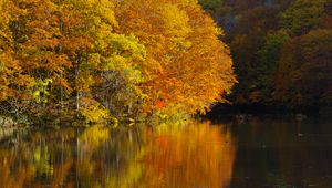 Preview wallpaper lake, trees, reflections, autumn, landscape