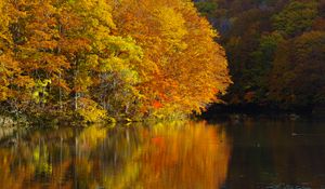 Preview wallpaper lake, trees, reflections, autumn, landscape