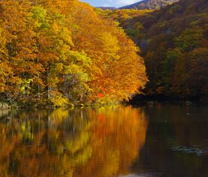 Preview wallpaper lake, trees, reflections, autumn, landscape