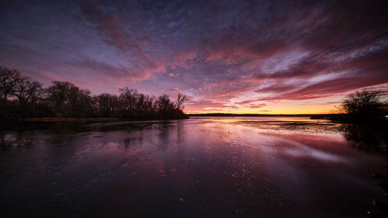 Wallpaper lake, trees, shore, evening, sky