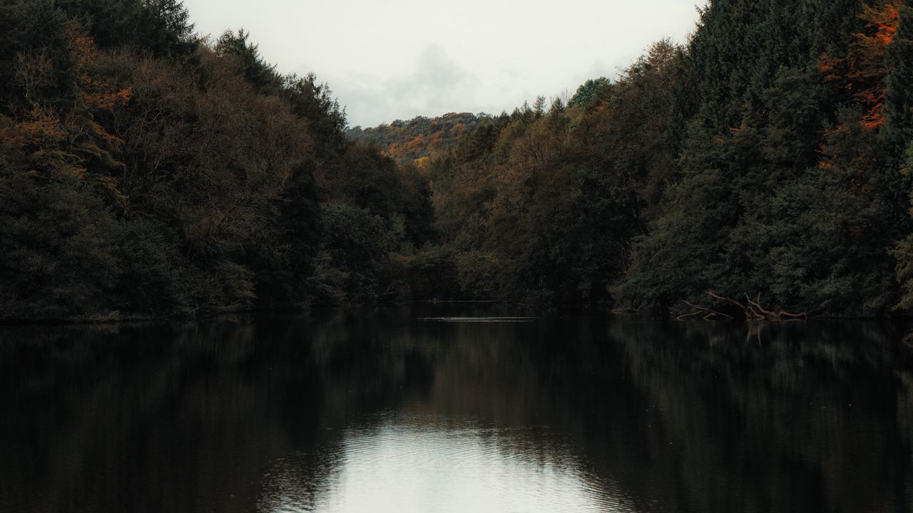Wallpaper lake, trees, shore, water, landscape