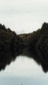 Preview wallpaper lake, trees, shore, water, landscape