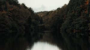 Preview wallpaper lake, trees, shore, water, landscape