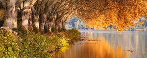 Preview wallpaper lake, trees, shore, landscape, autumn
