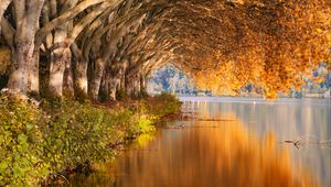 Preview wallpaper lake, trees, shore, landscape, autumn