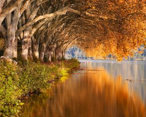 Preview wallpaper lake, trees, shore, landscape, autumn