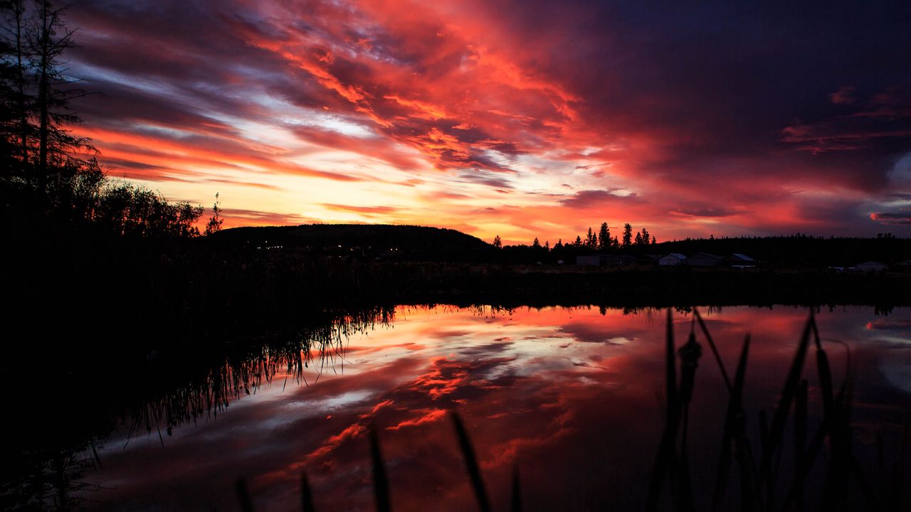 Wallpaper lake, trees, silhouettes, sunset, dark