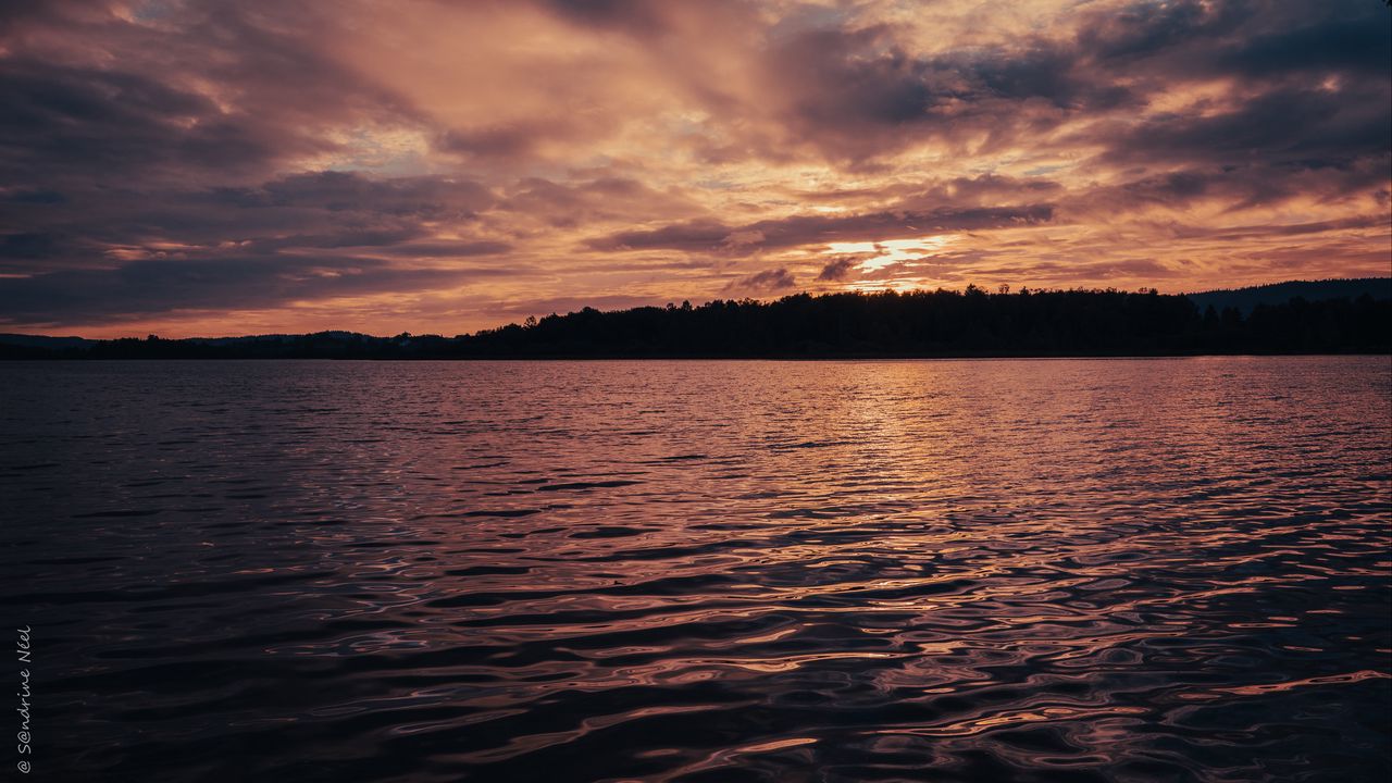 Wallpaper lake, trees, silhouettes, twilight, dark, landscape