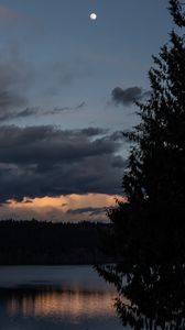 Preview wallpaper lake, trees, silhouettes, moon, night