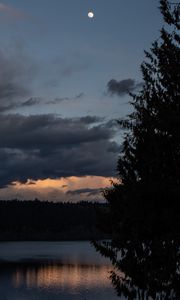 Preview wallpaper lake, trees, silhouettes, moon, night