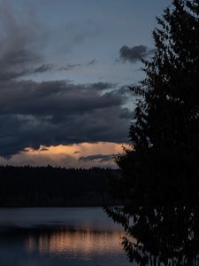 Preview wallpaper lake, trees, silhouettes, moon, night