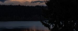 Preview wallpaper lake, trees, silhouettes, moon, night