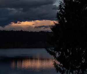 Preview wallpaper lake, trees, silhouettes, moon, night