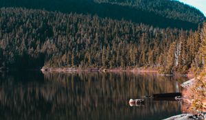 Preview wallpaper lake, trees, sky, reflection