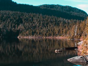 Preview wallpaper lake, trees, sky, reflection