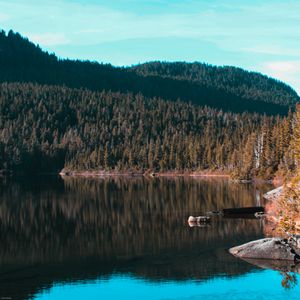 Preview wallpaper lake, trees, sky, reflection