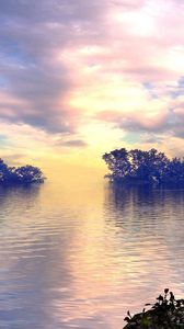 Preview wallpaper lake, trees, sky, clouds, bird, flight