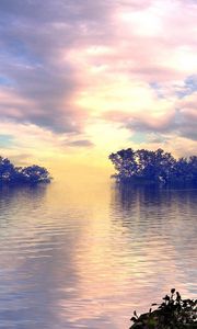 Preview wallpaper lake, trees, sky, clouds, bird, flight