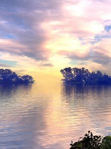 Preview wallpaper lake, trees, sky, clouds, bird, flight