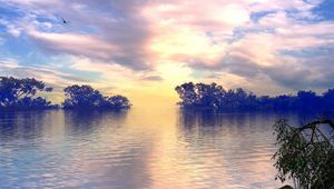 Preview wallpaper lake, trees, sky, clouds, bird, flight