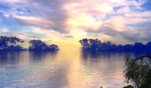 Preview wallpaper lake, trees, sky, clouds, bird, flight