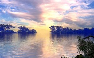 Preview wallpaper lake, trees, sky, clouds, bird, flight